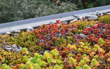 the cost of Hagmore Green green roof installation