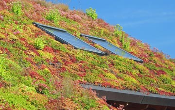 Hagmore Green living roof systems