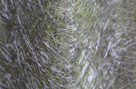 Hagmore Green fibreglass roof work